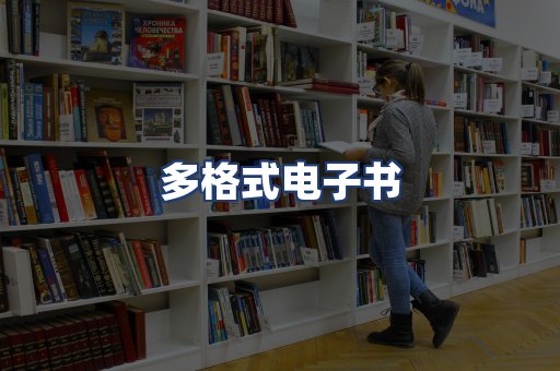 多格式电子书